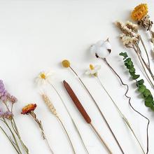 拍照道具干花仿真花ins自然白色棉花带杆麦子芦苇拍摄背景装饰品.