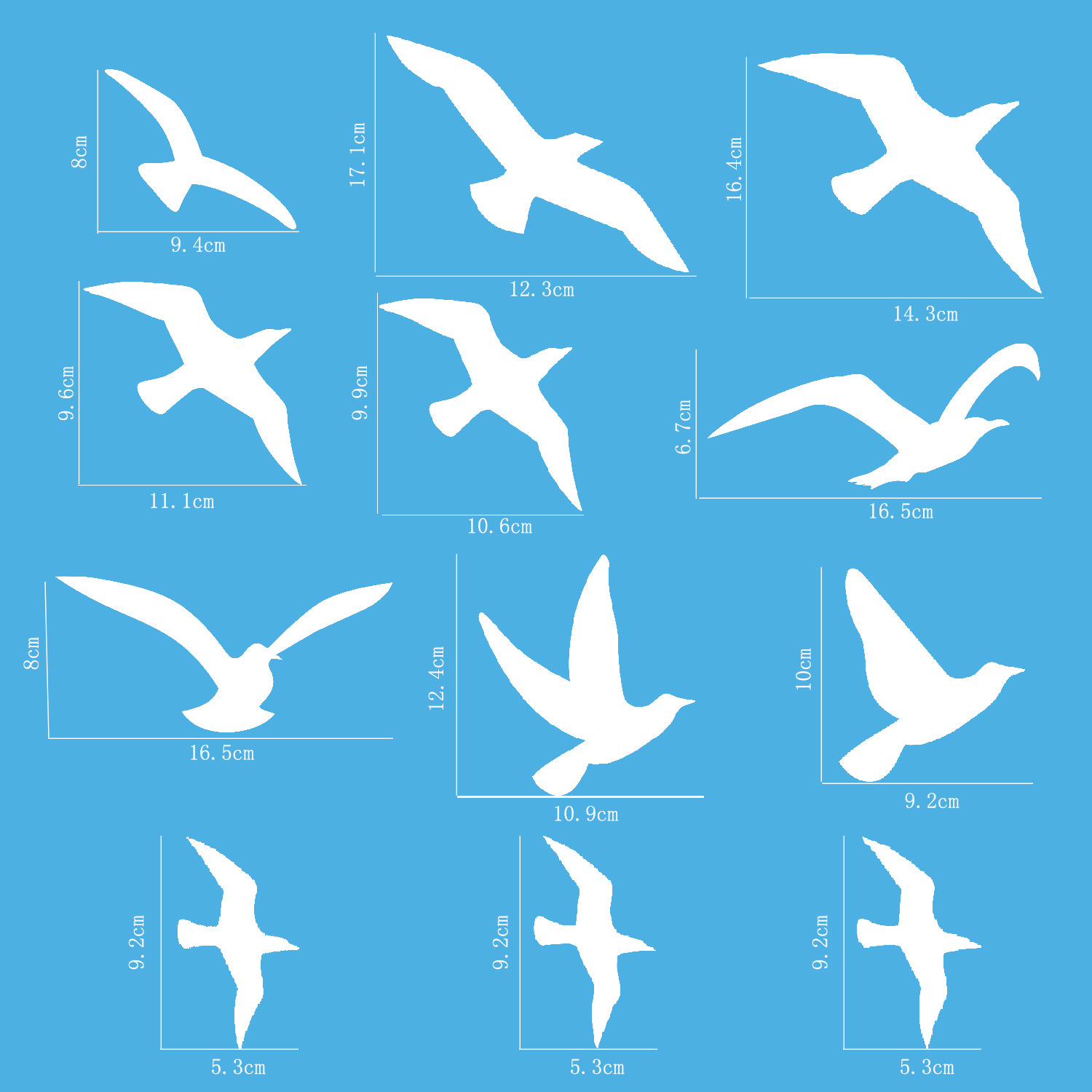 乳白色小鸟尺寸图