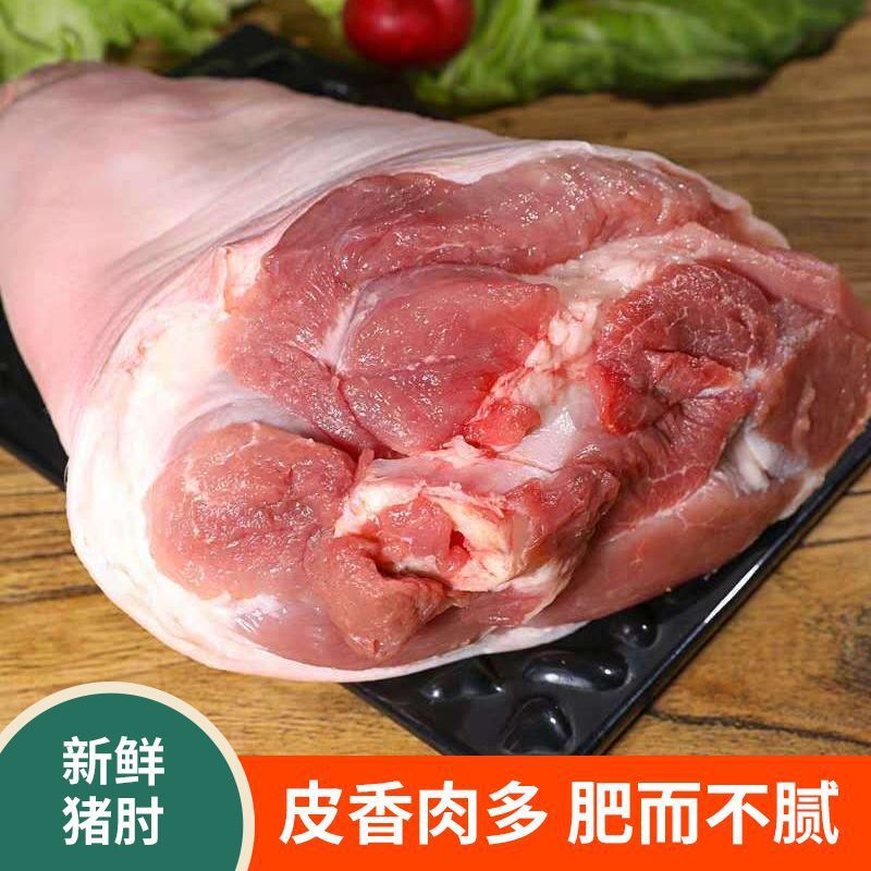 5斤新鲜猪前肘子现杀冷表皮烧毛冻猪蹄?猪前肘生猪脚