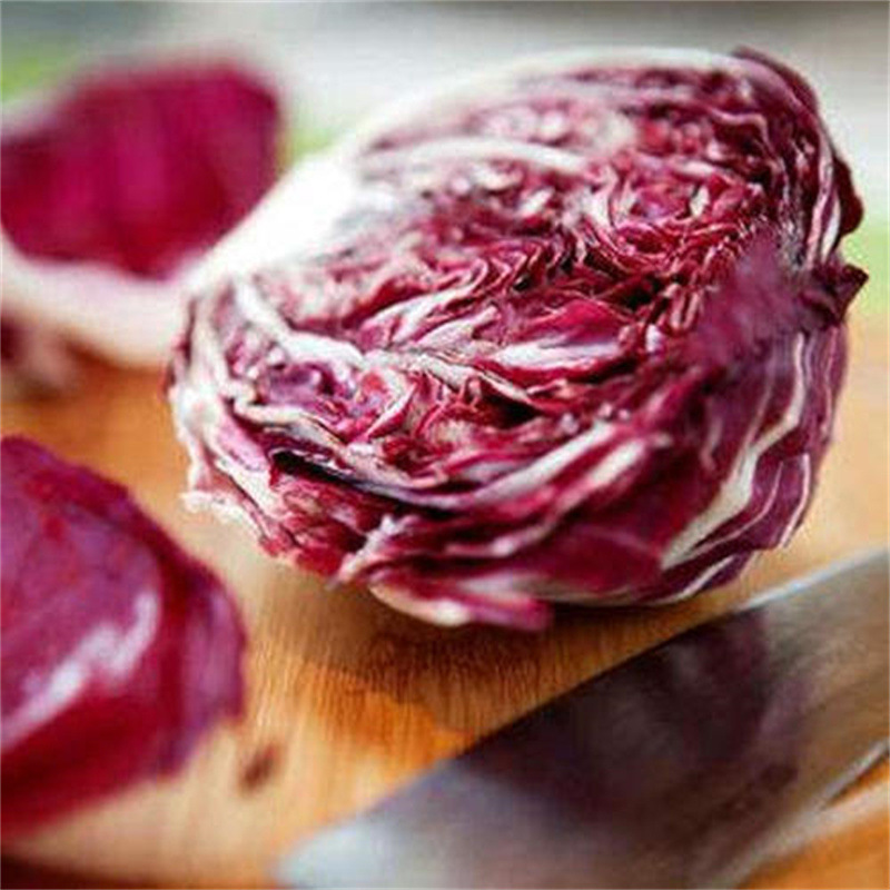 3斤包邮 新鲜落地球红球生菜红菊苣沙拉健身餐轻食批发基地直发