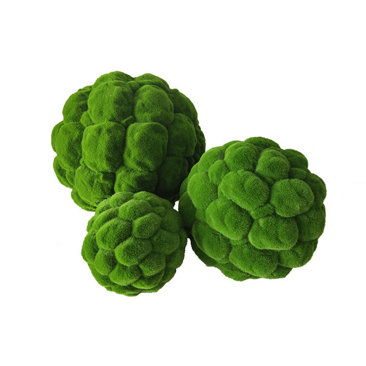 美容美发厅环境 婚庆用品 淋浴阁 咖啡厅ktv等室内外绿化设计和安装