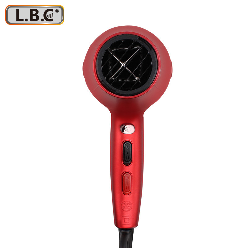 Cross-Border Hair Salon High-Power Hair Dryer Anion Household Hair Salon Hair Dryer Thermostatic Hair Care Hair Dryer