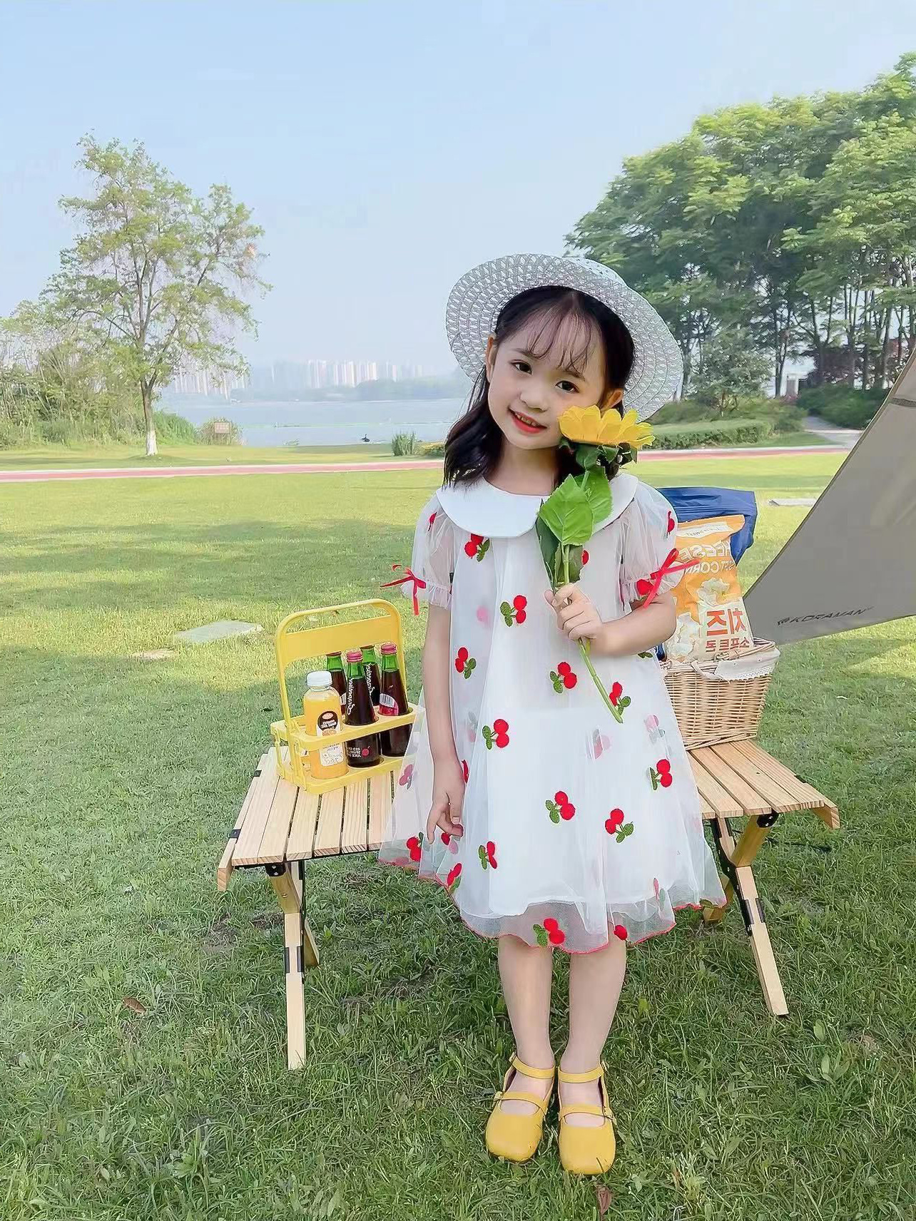 女童短袖公主裙夏季新款宝宝小女孩水果网纱刺绣娃娃公主连衣裙