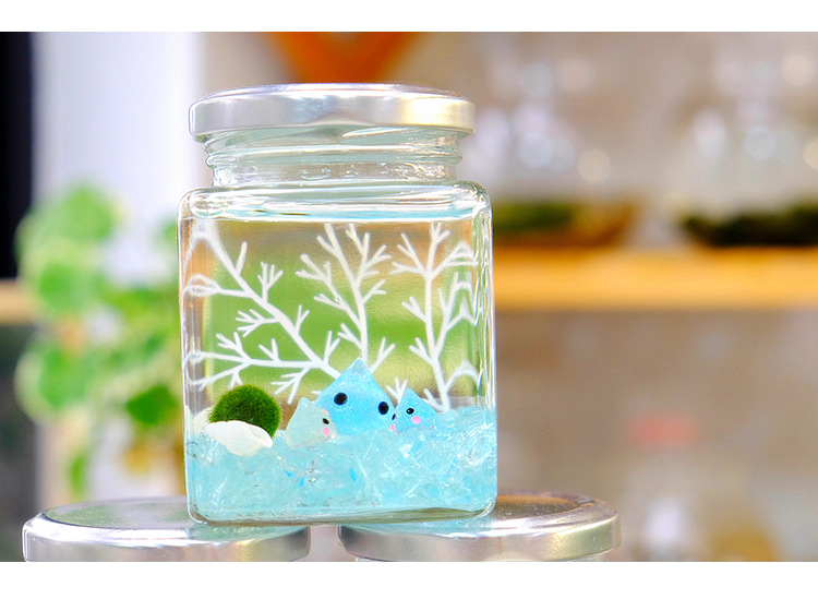 乖乖瓶marimo幸福海藻球微景观生态瓶迷你盆栽创意礼物水培植物