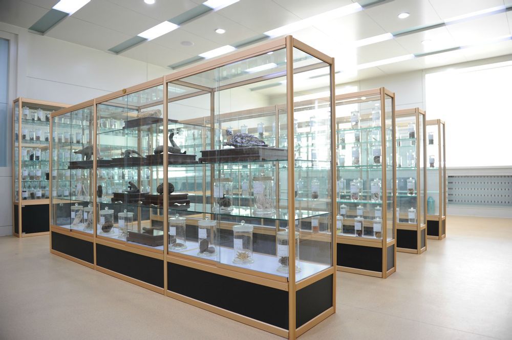 定制标本柜 昆虫标本陈列柜 铝木玻璃组合展柜动物标本储柜展示柜