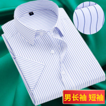 长袖衬衫秋季男士商务职业白底蓝色条纹工装打底衫衬衣加肥加大码