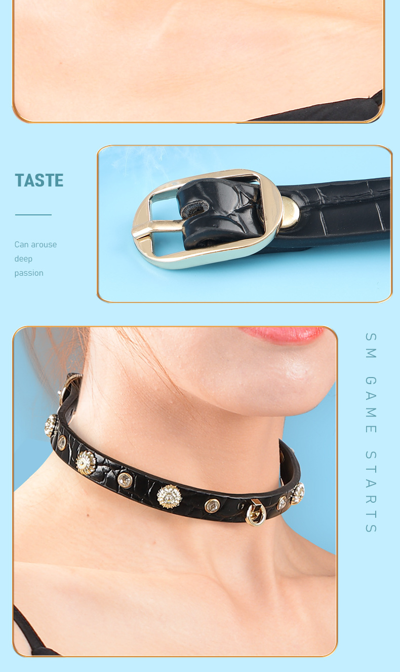 sm另类情趣玩具成人带钻款项圈女奴束缚项圈调情道具刺激用具代发