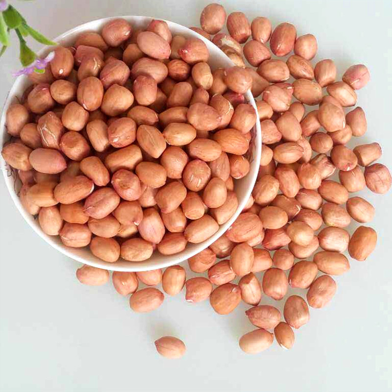 饱满均匀圆粒小白沙花生米生花生豆新货干净不带壳榨油出油率高