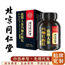 北京同仁堂怡福寿鹿鞭人参玛咖牡蛎肽片 0.5g*40粒 /瓶代发批发