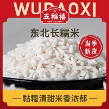 2023新货东北长粒糯米新货新米包白粽专用新鲜粘籼米五谷杂粮500g