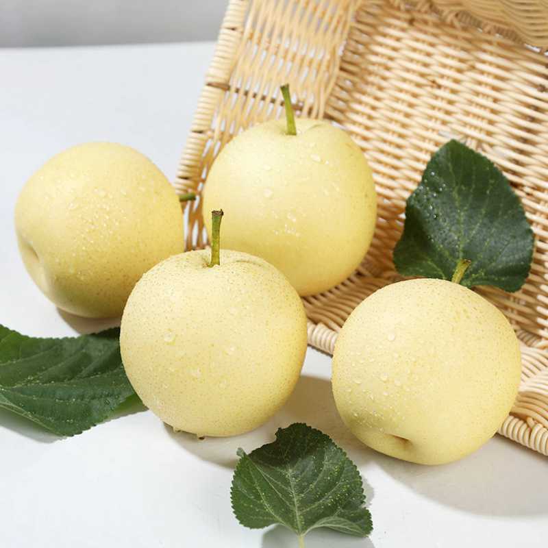 10斤河北皇冠梨新鲜现摘现发梨子当季水果脆甜多汁雪梨鸭梨砀山梨