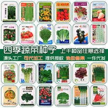 四季蔬菜种子 盆栽阳台庭院草莓番茄青菜萝卜生菜小葱菠菜籽大全