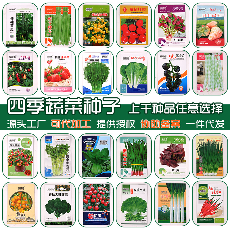 four seasons vegetable seed pot balcony garden strawberry tomato green vegetable radish lettuce onion spinach seed collection