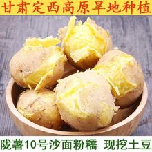 甘肃定西土豆早熟年现挖马铃薯3/5/10斤装黄心土豆新鲜洋芋批