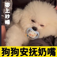 宠物奶嘴狗狗安抚玩具小狗磨牙解闷幼犬比熊仿生新生睡觉批发直销