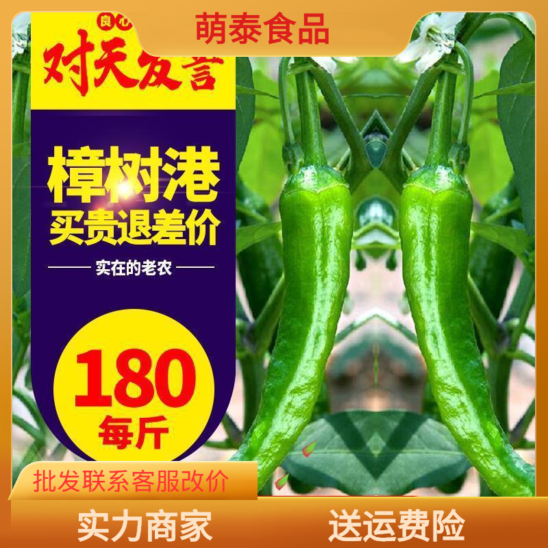 樟树港辣椒 新鲜 湖南樟树港辣椒 樟树港辣椒湘阴礼盒500g-阿里巴巴