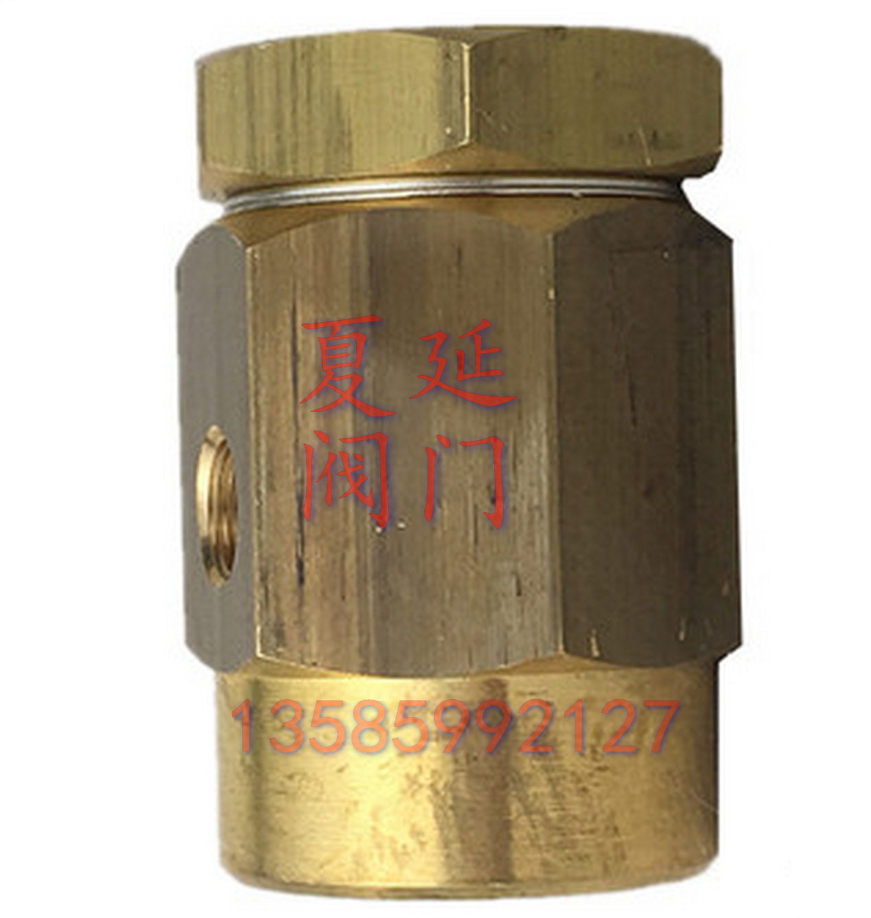 0成交0件spiraxsarco斯派莎克vb21破真空器,vb21黄铜破真空阀,dn15