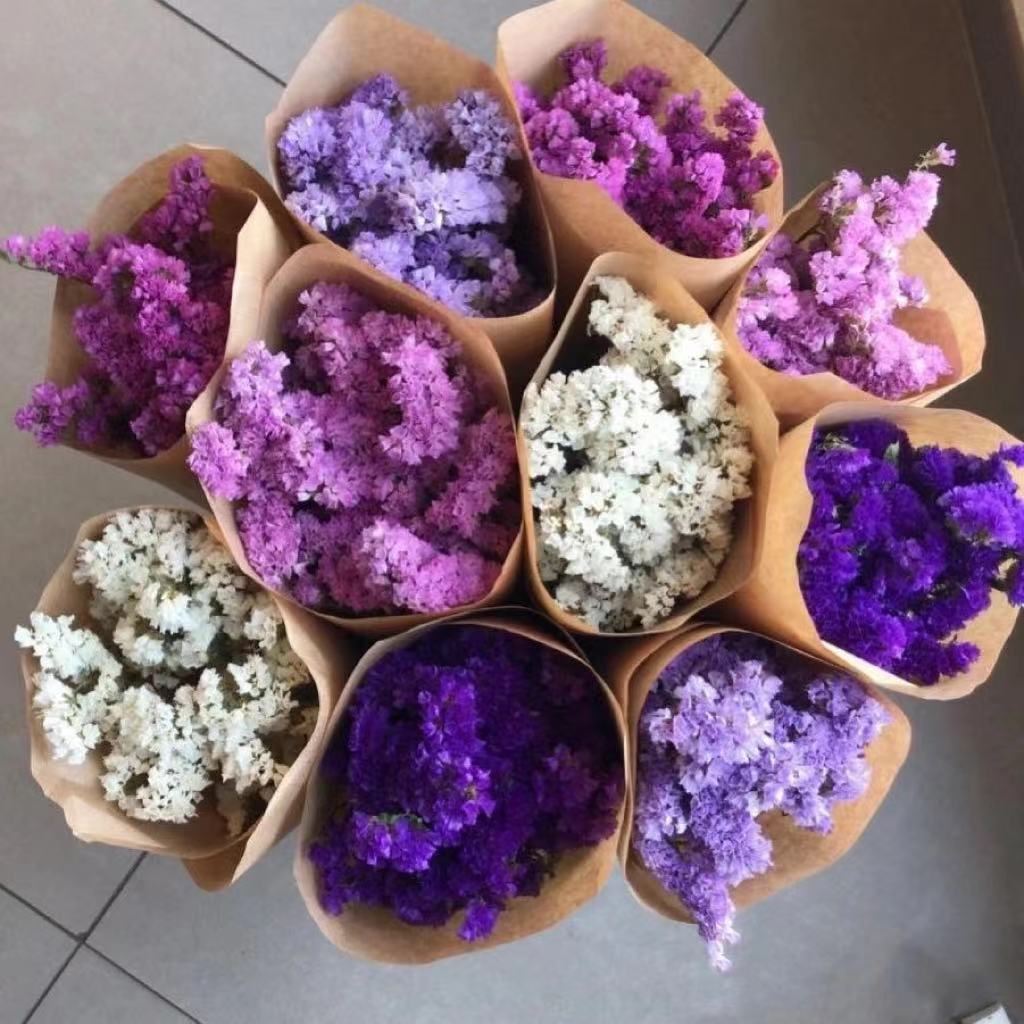 勿忘我鲜花批发云南昆明配花配草摆地摊花店婚庆团购货源-阿里巴巴