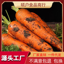 胡萝卜10斤整箱沙地萝卜新鲜蔬菜脆甜爽口带泥批发农家现挖胡萝卜