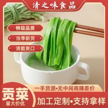 工厂现货精选无叶贡菜干货火锅专用脱水蔬菜苔干贡菜批发