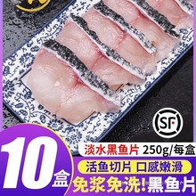 商用酸菜鱼菜片预制半成品家用火锅食材黑鱼免浆片黑鱼乌鱼冷冻