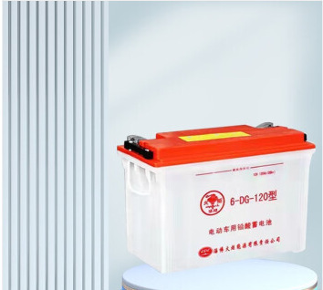 火炬蓄电池高尔夫车观光车电动车叉车巡逻车环卫清洁车 6-dg-120