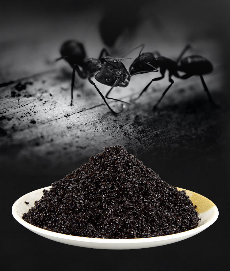 油炸黑蚂蚁图片