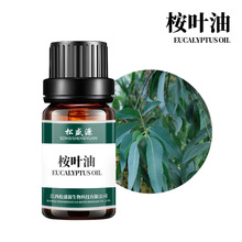 厂家批发 桉叶精油 桉叶油 尤加利精油 蓝桉精油 10ml 可拿样品