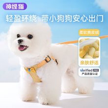 狗狗绳狗链牵引绳胸背带泰迪博美比熊茶杯俊介小鹿犬雪纳瑞吉娃娃