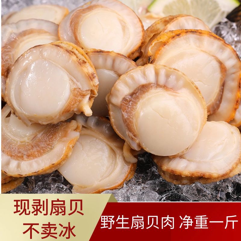 【买4送1】无冰大号海捕扇贝肉新鲜冷冻海鲜鲜活野生大连贝肉全贝