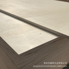 生产出售9厘杨木防水多层板 用于沙发板等家具