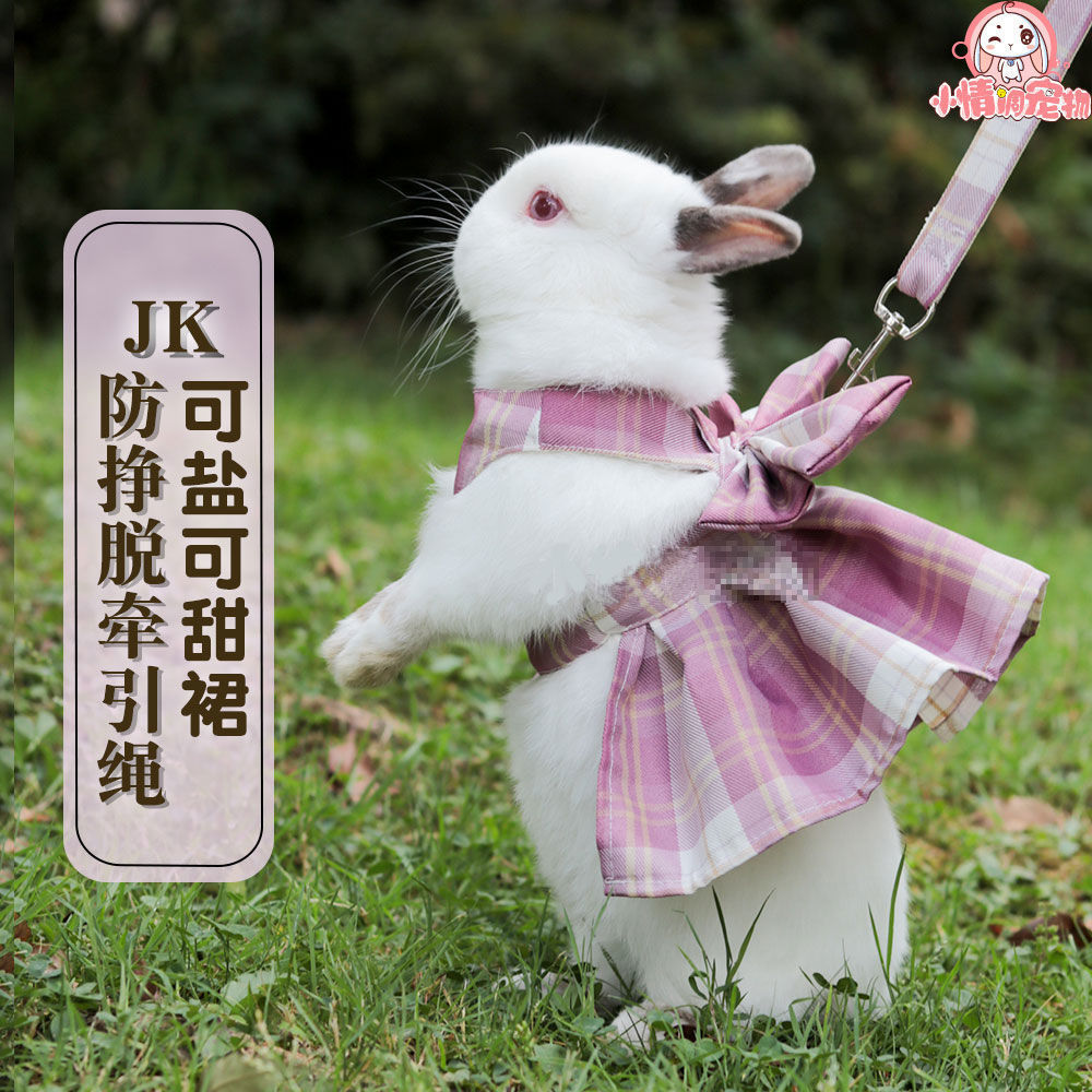 宠物兔子衣服牵引绳溜兔绳子jk裙夏天兔兔侏儒兔宠物垂耳兔衣服
