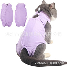 宠物猫咪绝育服术后服猫猫术后服装母猫断奶防舔防抓咬贴身衣服