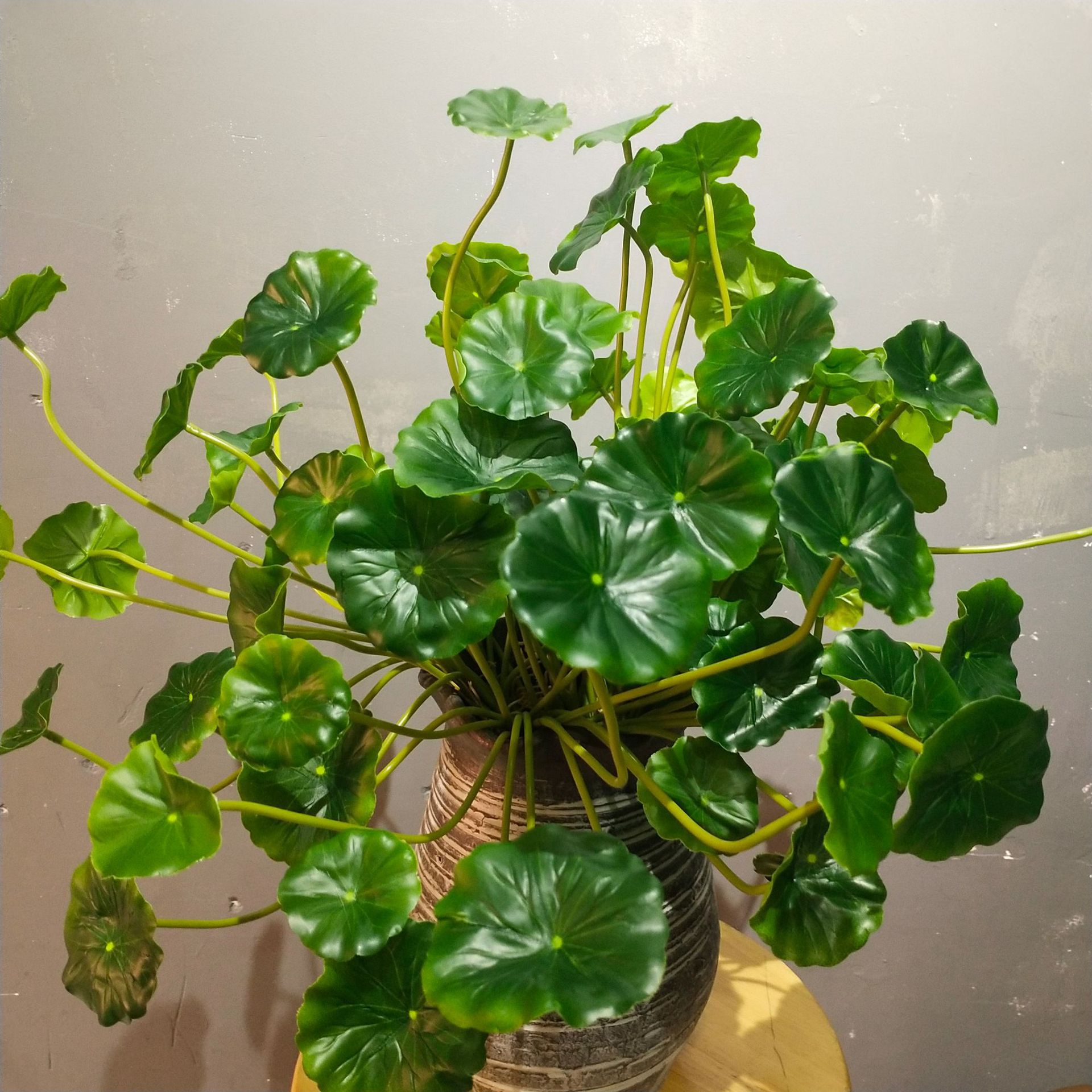 仿真迷你荷叶把束手感荷叶铜钱草海棠叶绿色植物仿真叶子装饰叶子