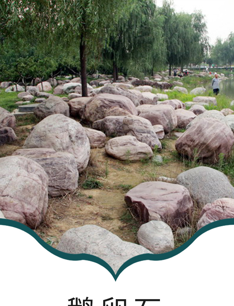 大型鹅卵石批发 园林假山水系 河滩石点缀石 绿化河道点缀景观石