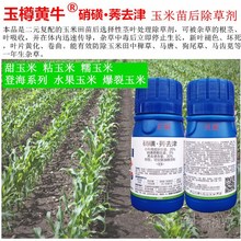 厂家除草专用剂硝磺莠不伤玉米苗安全型除草封草籽批发