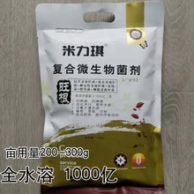 复合微生物菌剂 原菌种 1000 亿全水溶 含枯草地衣芽孢杆菌酵母菌