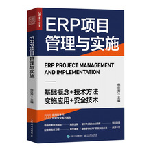 正版现货书ERP项目管理与实施基础概念实用方法实施应用安全技术