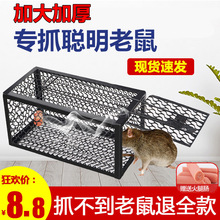 抓老鼠笼捕鼠器大号家用老鼠夹子铁质网连续高效超强扑捉灭鼠克星