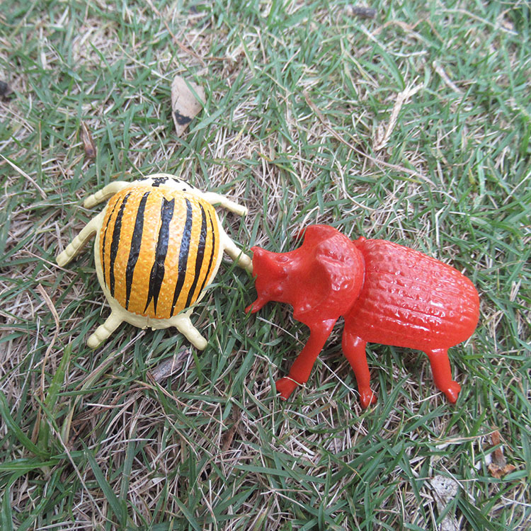 甲虫玩具12款仿真模型独角仙南洋战神毛象长戟大兜虫锹形昆虫公仔