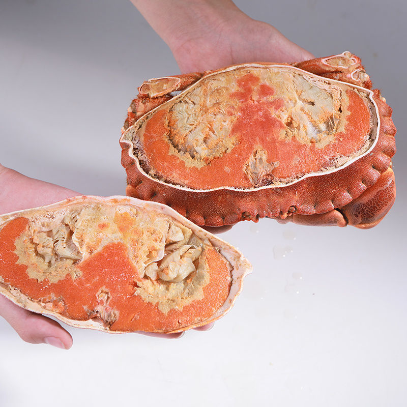 面包蟹英国大面包螃蟹鲜活梭子蟹海蟹海鲜水产熟冻黄金即食珍宝厂