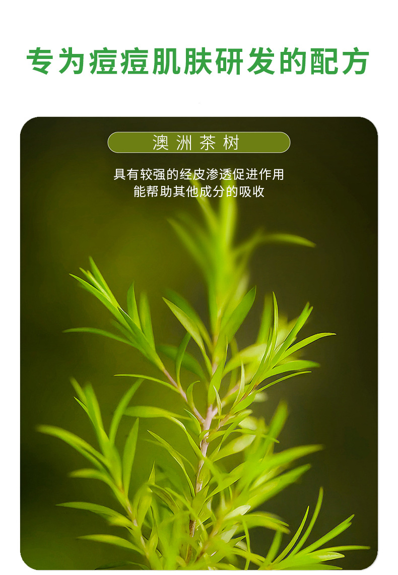 澳洲茶树精油祛痘凝胶温和净痘膏修护痘印痘坑清凉肌肤草本祛痘膏