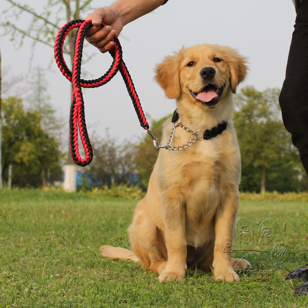 狗狗牵引绳p字链训犬大型犬中型犬拉布拉多马犬狼狗细狗遛狗绳子