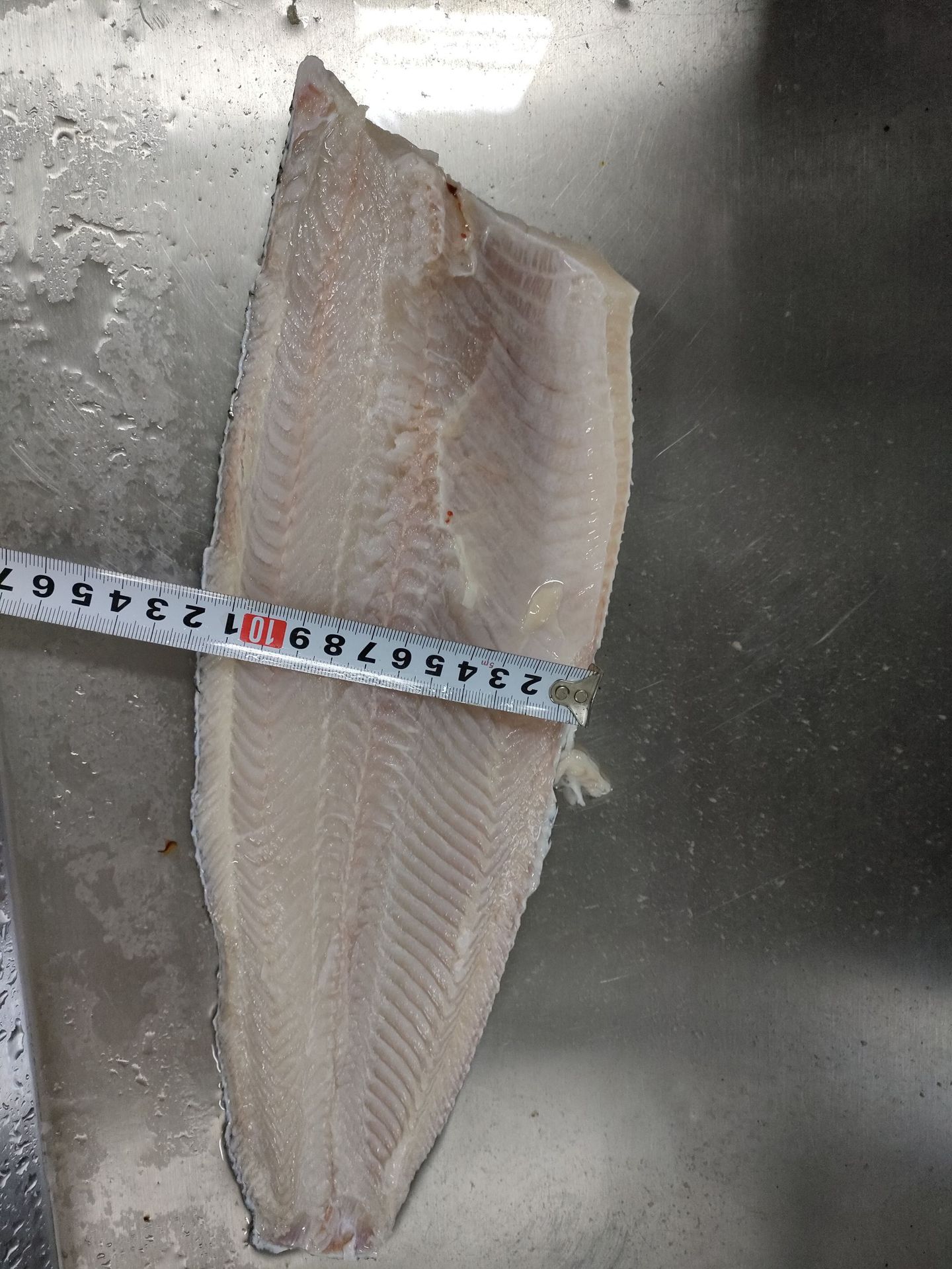 黑鱼柳加工 生鱼柳 黑鱼片火锅酸菜鱼半成品新鲜黑鱼速冻冷冻