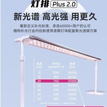 厂家多肉补光灯Plus版 上色仿太阳全光谱家用LED植物生长灯排室内