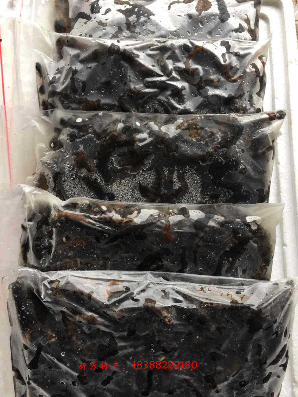 批发供应【云南特产】 爬沙虫 食用昆虫 虫参水蜈蚣 鲜活速冻