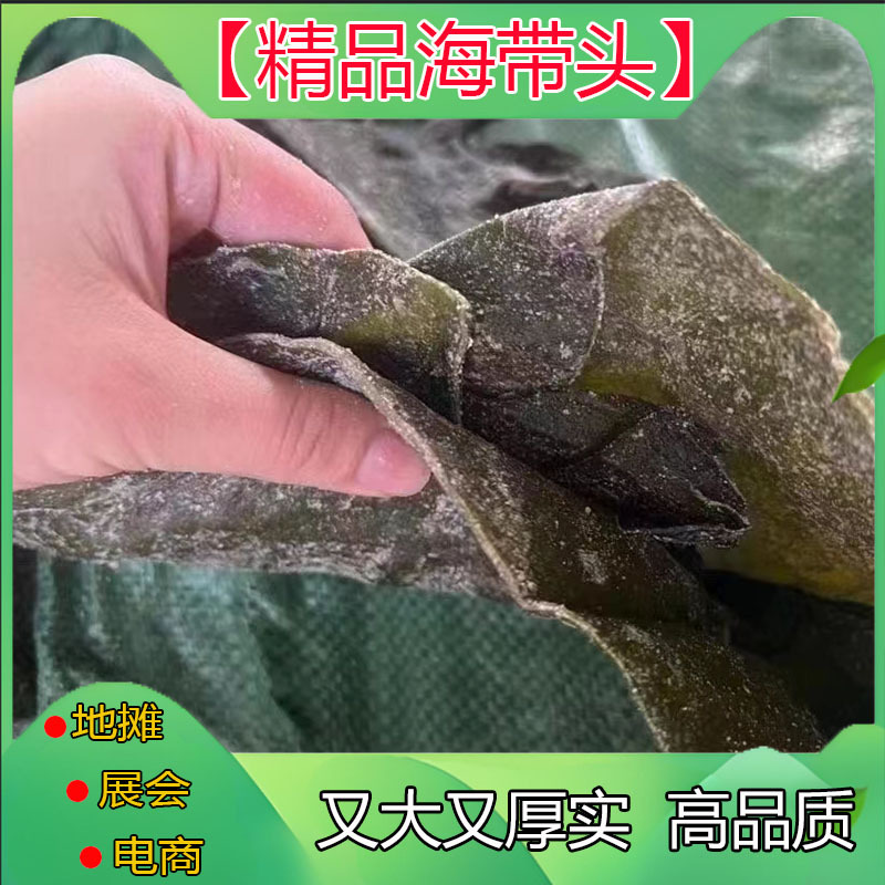 半干盐渍海带头 干货特级厚新鲜晒干摆摊跑江湖摆地摊货干海带头