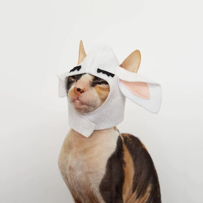 卡通可爱猫咪头套牛角形猫咪帽子家居宠物帽子柔软猫咪头套