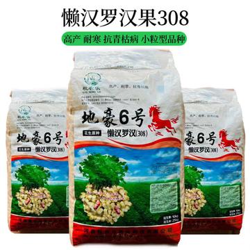 花生种子懒汉白沙果懒汉罗汉花生米花生种子带壳花生种子