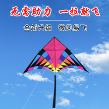 潍坊基林风筝大型2/3/6平妖姬大三角碳素杆微风易飞成人儿童
